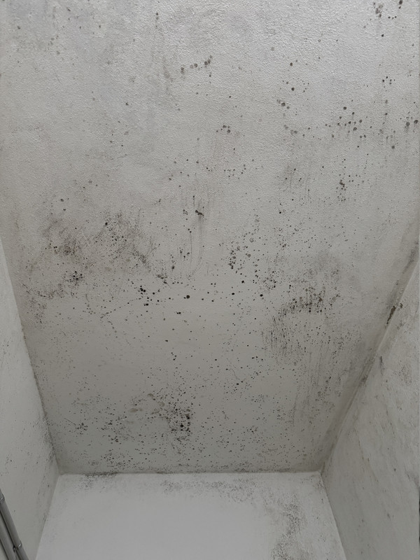 APTA CRÉDITO: CASA A RECICLAR A MTS DE AV. CASTRO BARROS. 120M2 CUBIERTOS. 362M2 TERRENO. — foto 19