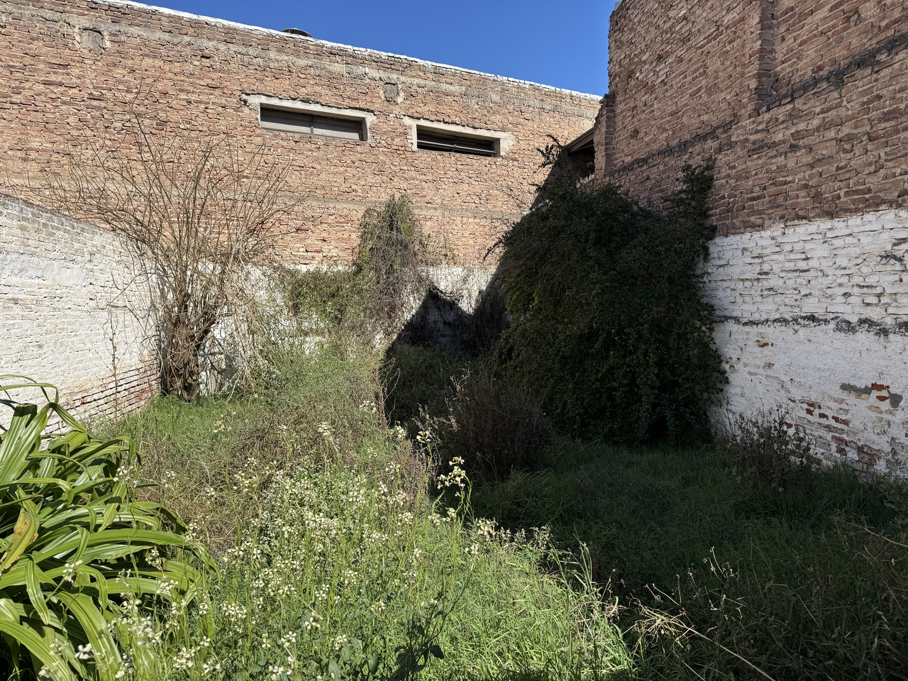APTA CRÉDITO: CASA A RECICLAR A MTS DE AV. CASTRO BARROS. 120M2 CUBIERTOS. 362M2 TERRENO. — foto 47