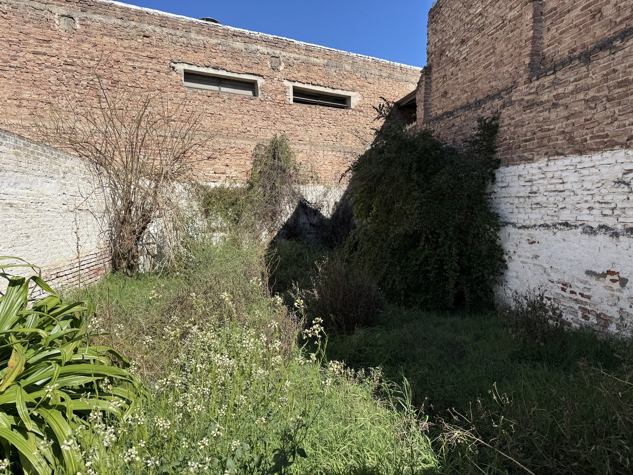 APTA CRÉDITO: CASA A RECICLAR A MTS DE AV. CASTRO BARROS. 120M2 CUBIERTOS. 362M2 TERRENO. — foto 48